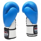 Боксерские перчатки FirePower FPBG10 (12oz) Синие