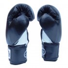 Боксерские перчатки FirePower FPBGА1 (10oz) Черные