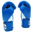 Боксерские перчатки FirePower FPBGА1 (12oz) Синие