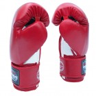 Боксерские перчатки FirePower FPBGА1 (10oz) Красные