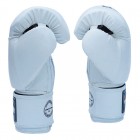 Боксерские перчатки FirePower FPBGА1 (10oz) Белые