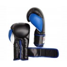 Боксерские перчатки FirePower FPBGA9 (10oz) Черные с синим