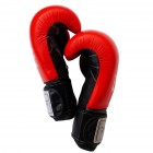 Боксерские перчатки Thai Professional BG5VL (12oz) Красные