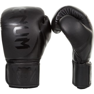 Боксерские перчатки Venum Original Challenger 2.0 (10oz) Черные