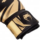 Боксерские перчатки Venum Original Challenger 3.0 (16oz) Черные с золотистым